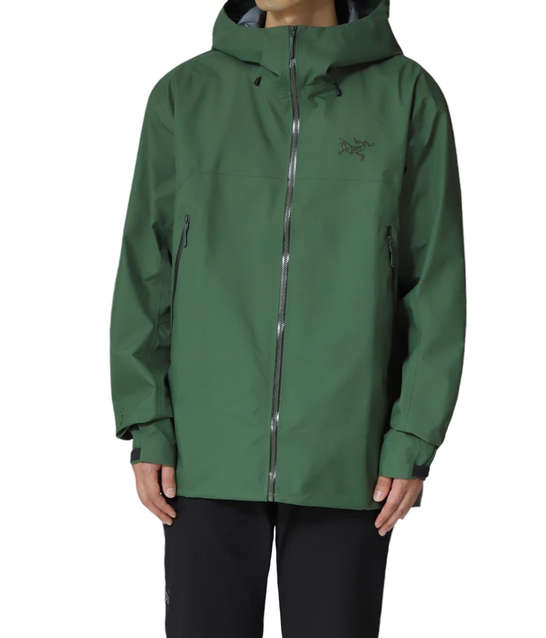 [M] 아크테릭스 베타 SL 자켓 에덴 상품이미지2