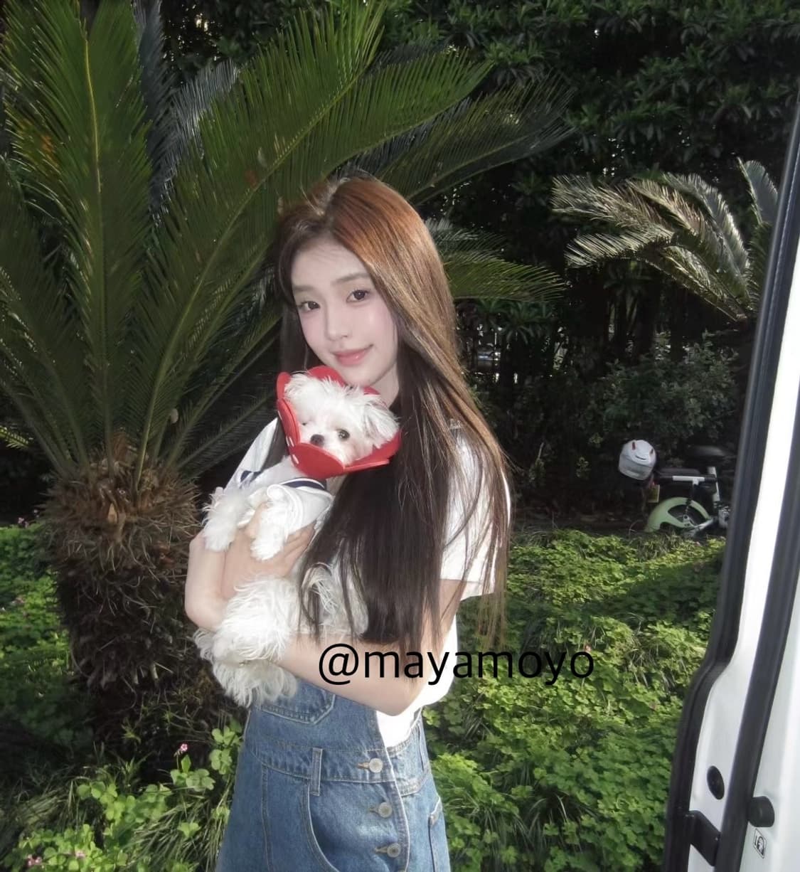 핑크 풀박!) Olympus  μ-5010 올림푸스 뮤 5010 핑크 상품이미지1