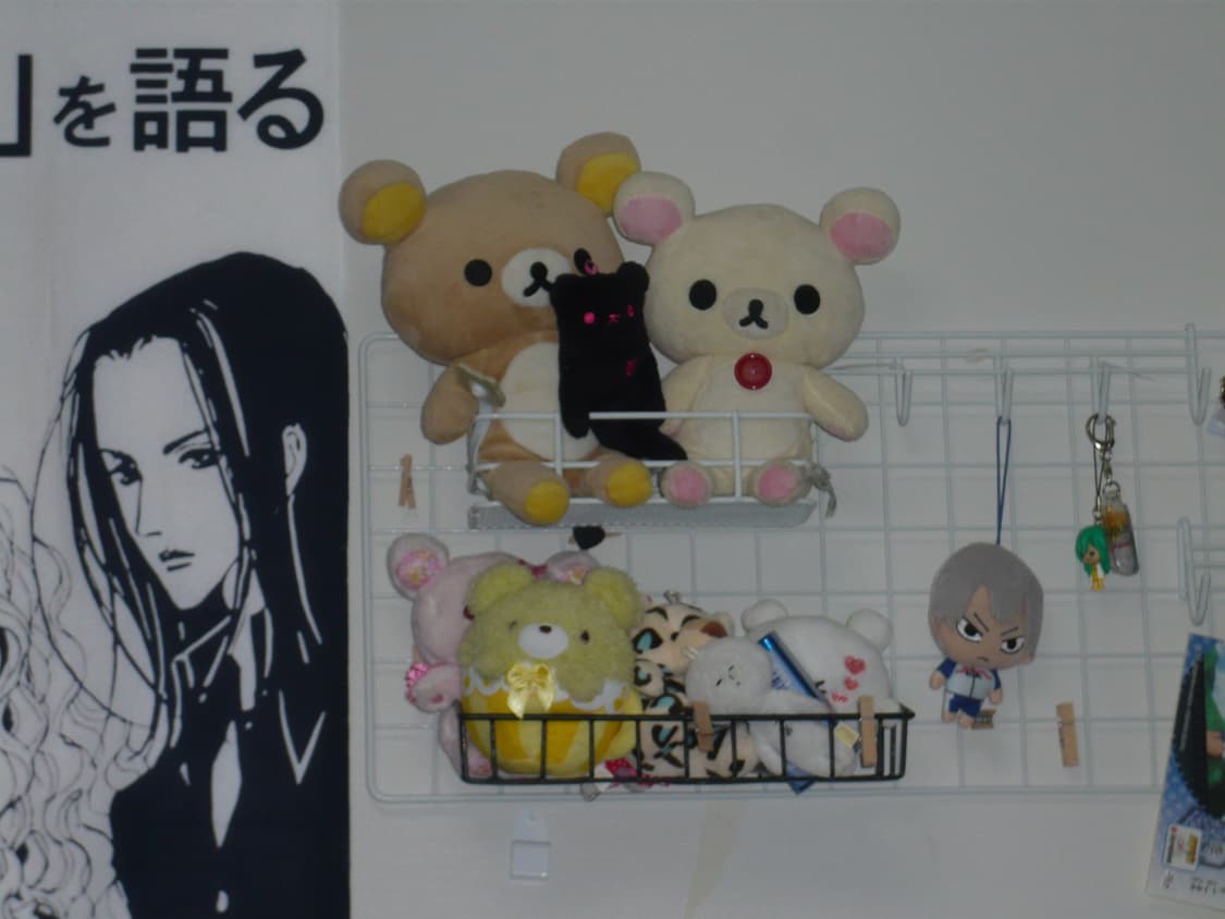 (작례o) 파나소닉 루믹스 fx33 상품이미지7