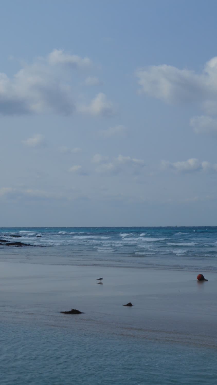 니콘 쿨픽스 A300 실버 ✨ 상품이미지6