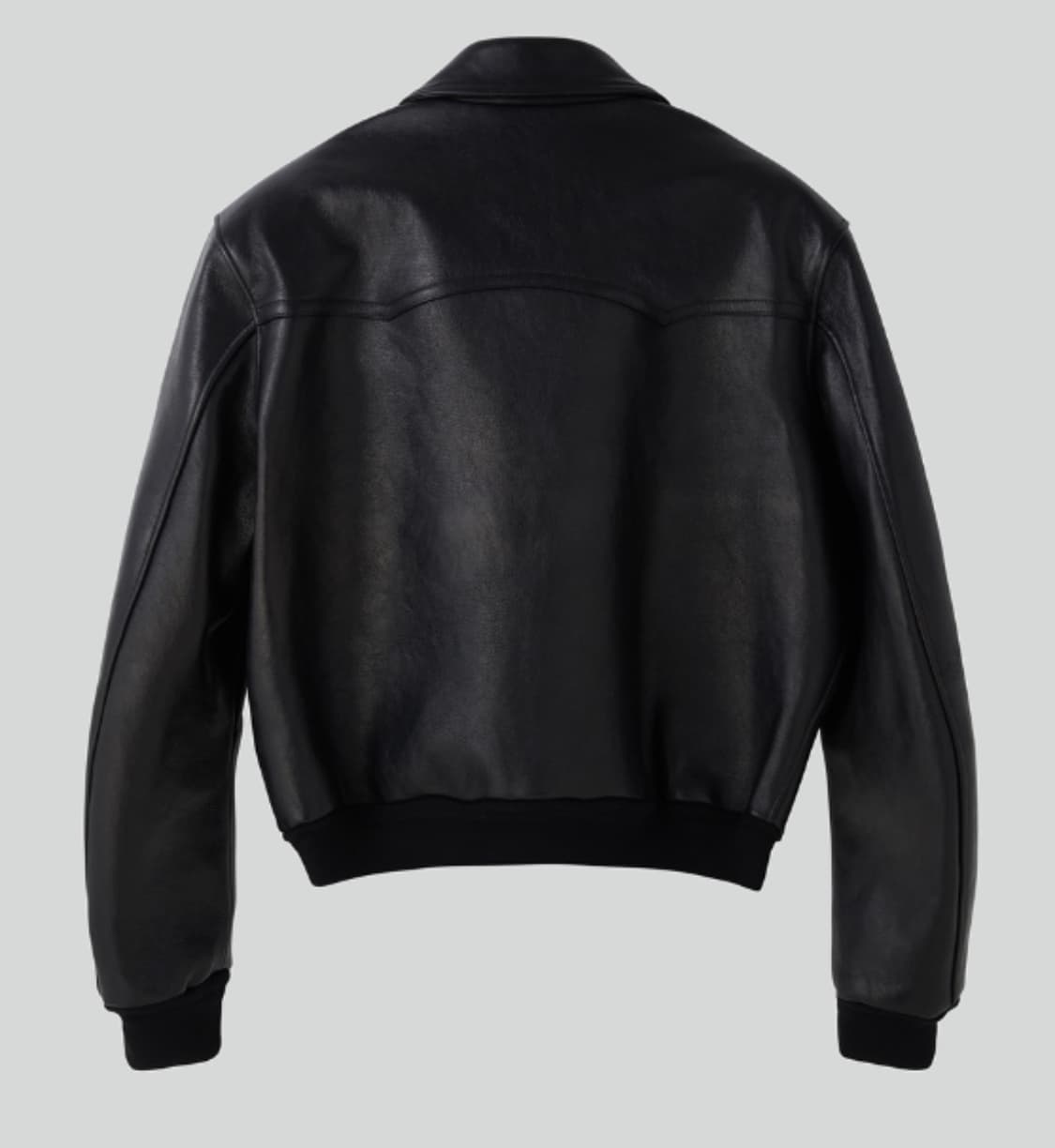 렉토 벤고트 M 상품이미지2