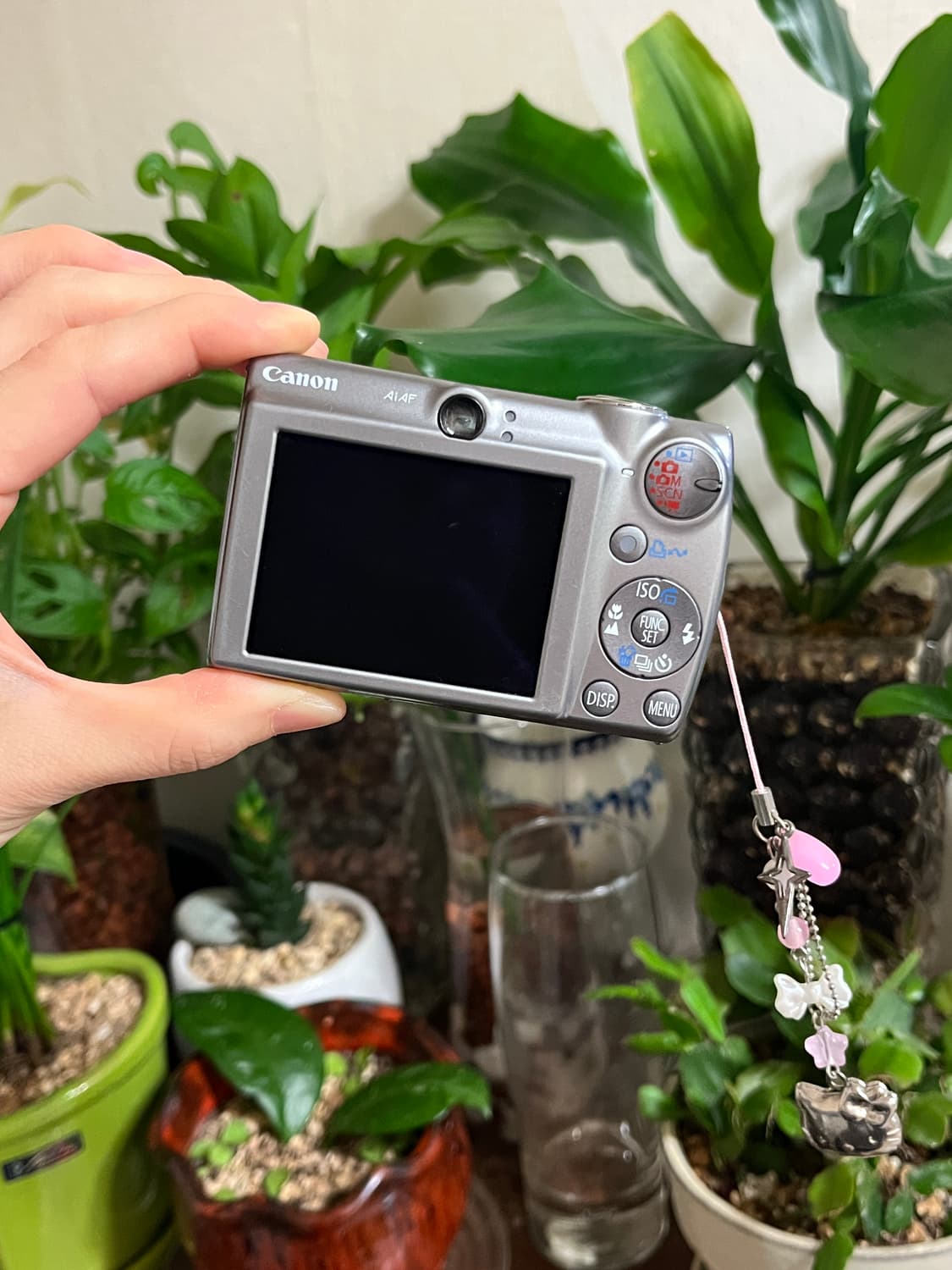 캐논 익서스850is, sd800is, ixy900is 상품이미지2