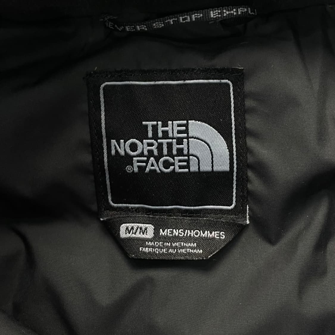 100 노스페이스 아콘카구아 550 패딩  상품이미지3