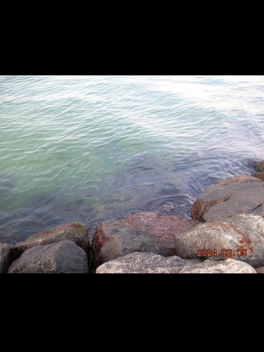 니콘 쿨픽스 4100 퍼플 상품이미지4