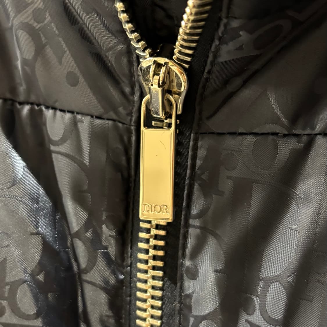 (50) 디올 오블리크 패딩 상품이미지3