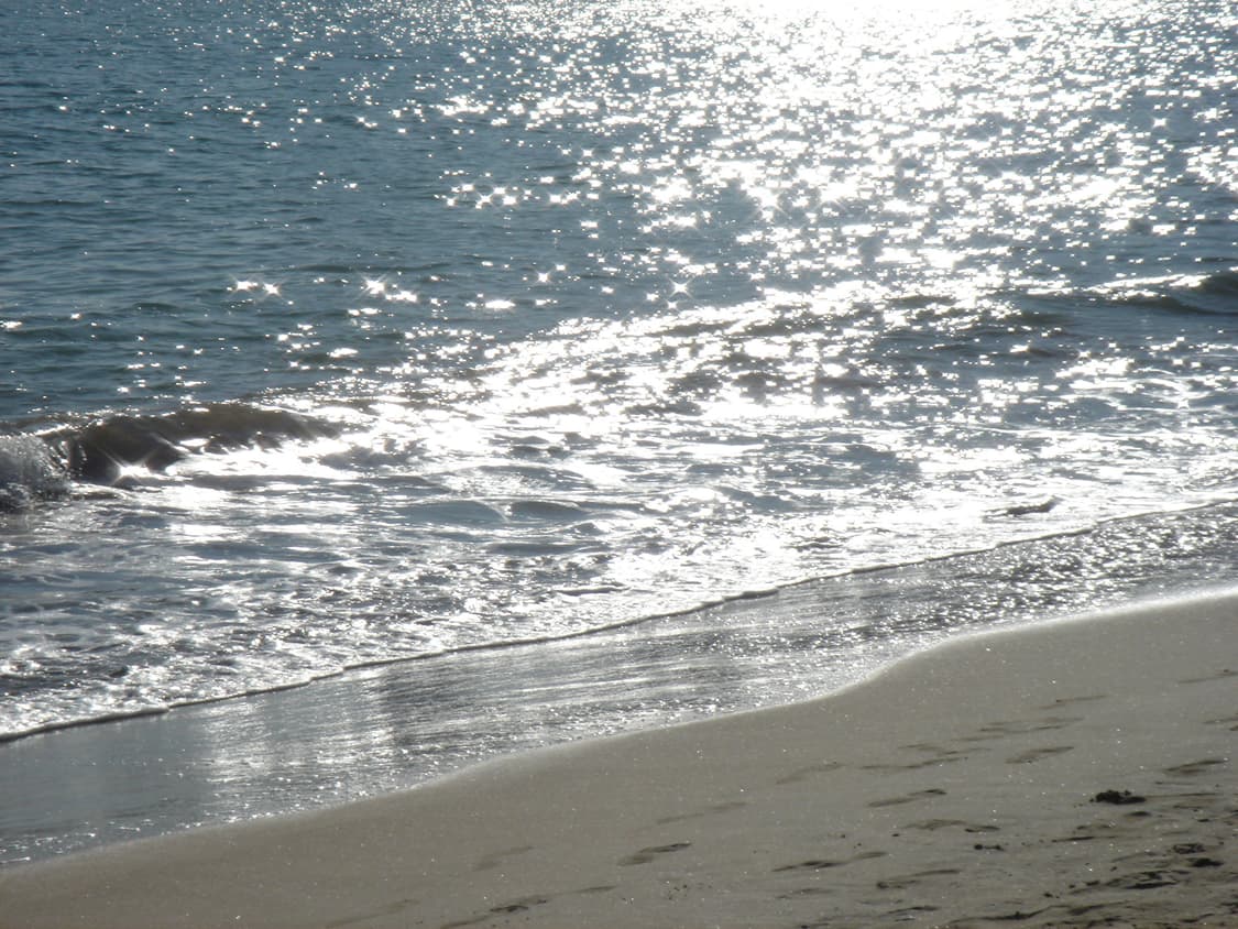 sony cybershot 소니 사이버샷 dsc t5 실버 상품이미지9