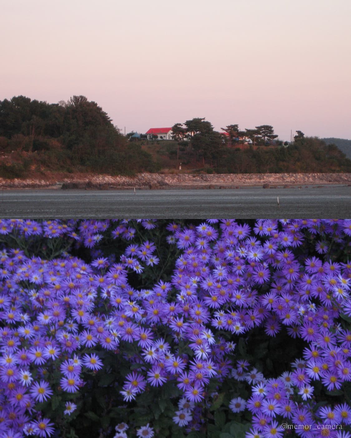아이유님사용모델/인기✨Canon IXY 55 캐논 디카 카메라 상품이미지7