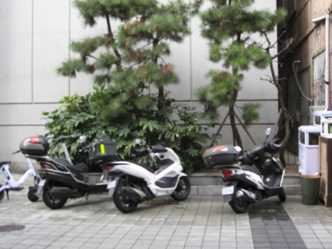 (인물/뽀용)Canon IXY 800 IS 캐논 익서스 IXUS 800 상품이미지10