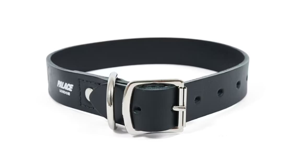 팔라스 반려견 가죽 목걸이 상품이미지1