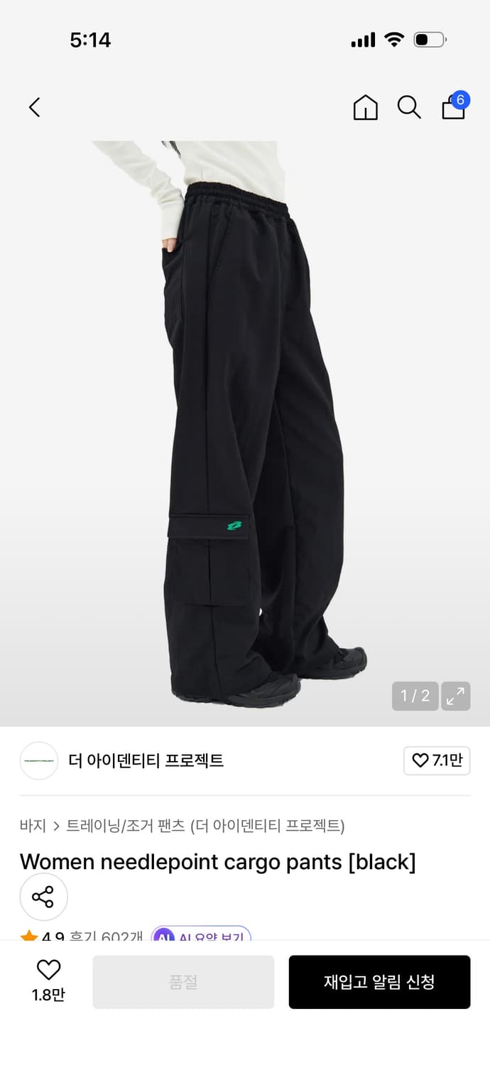 더 아이덴티티 프로젝트 카고바지 상품이미지1