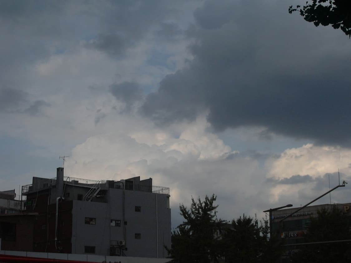 [희귀/라이카] 파나소닉 루믹스 DMC-LC20 상품이미지4