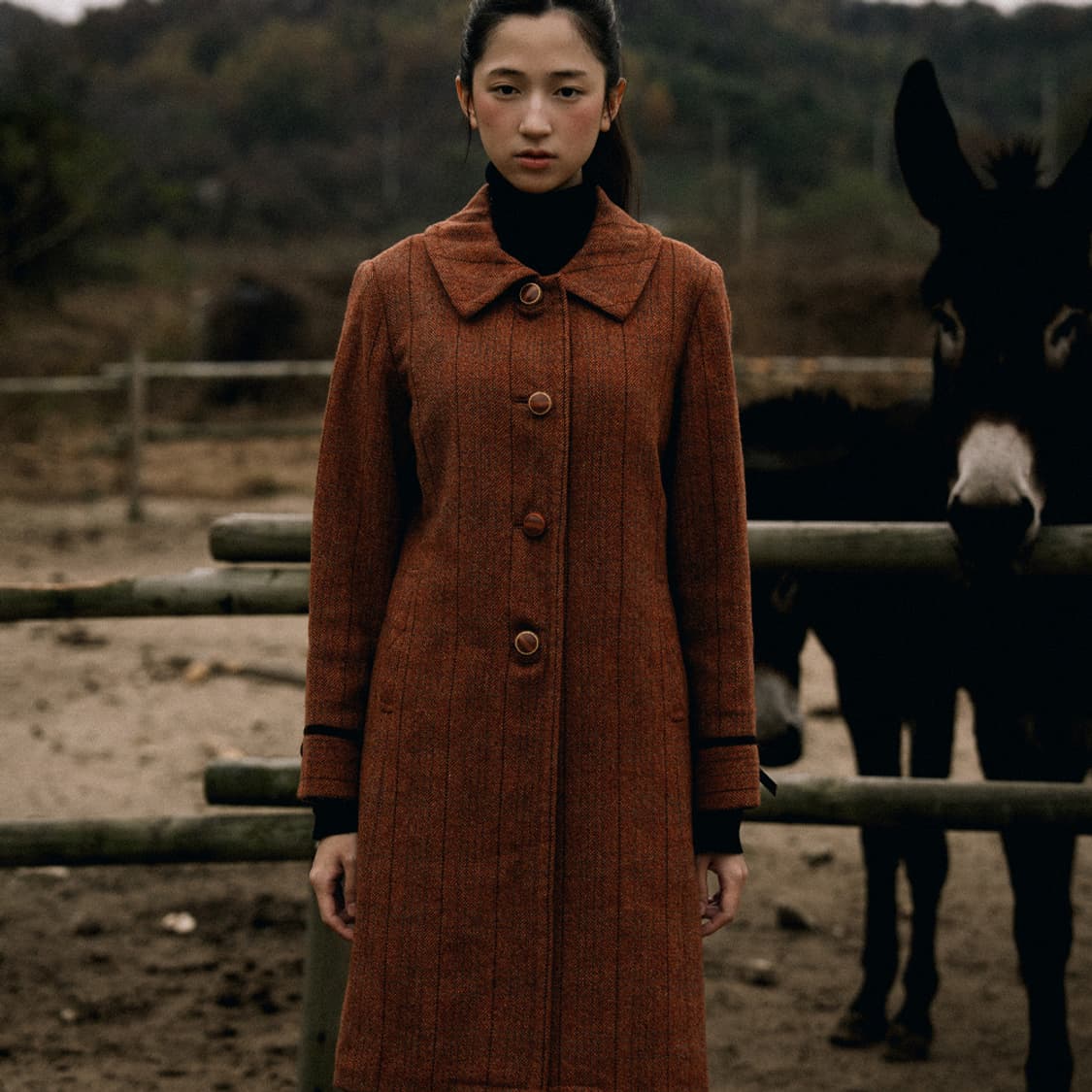 하베스트 로드 SET 상품이미지5