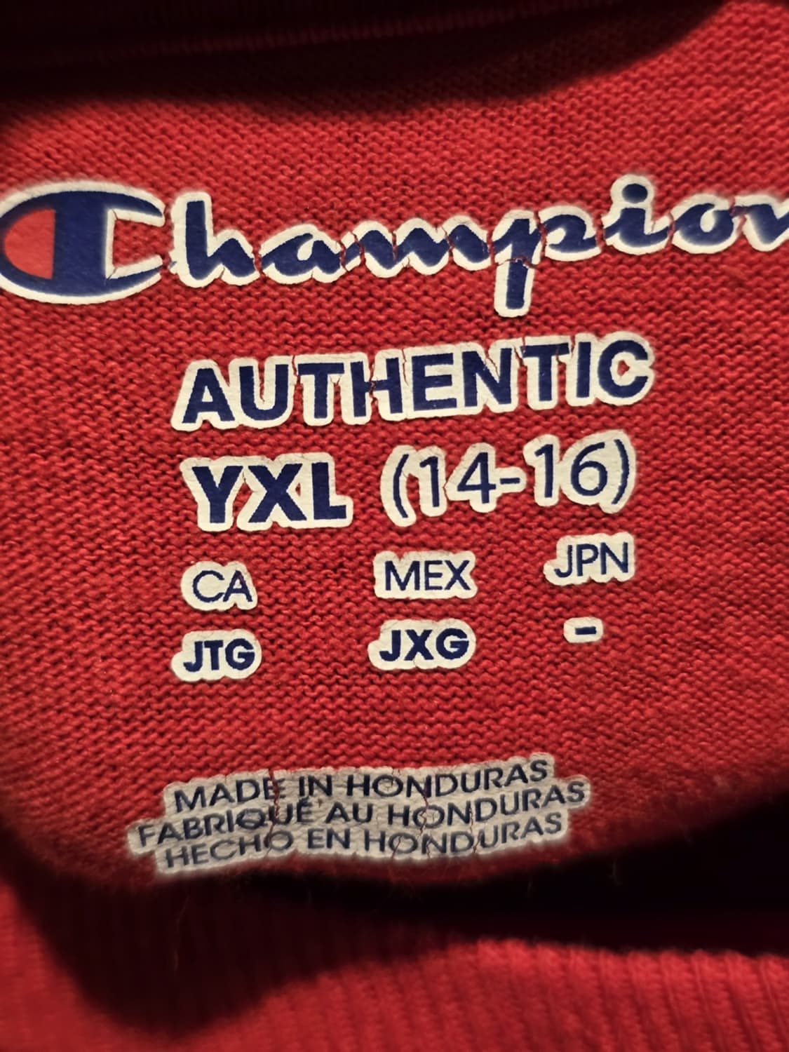 Champion Georgia Long Sleeve T-shirt 상품이미지4