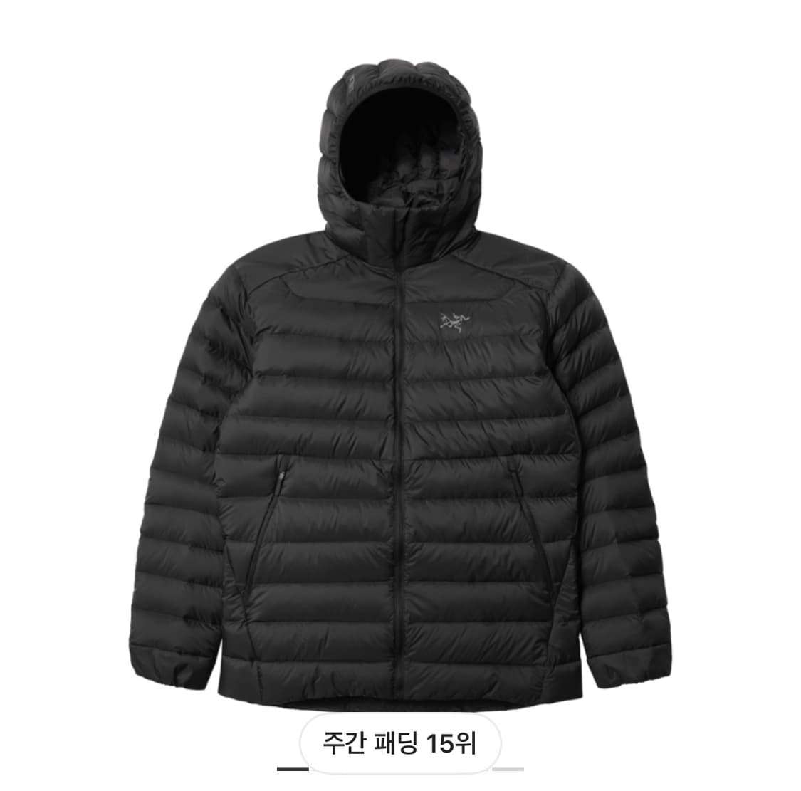 아크테릭스 세륨 후드 XL 새상품 상품이미지1