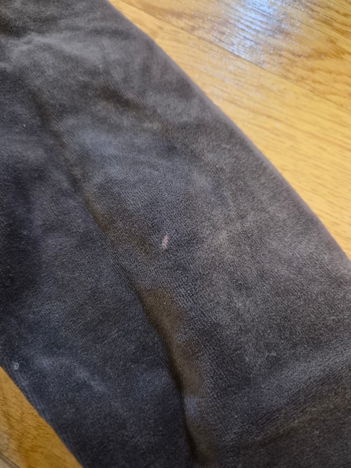 쥬시 꾸뛰르 벨벳 트레이닝복 세트 P 상품이미지3