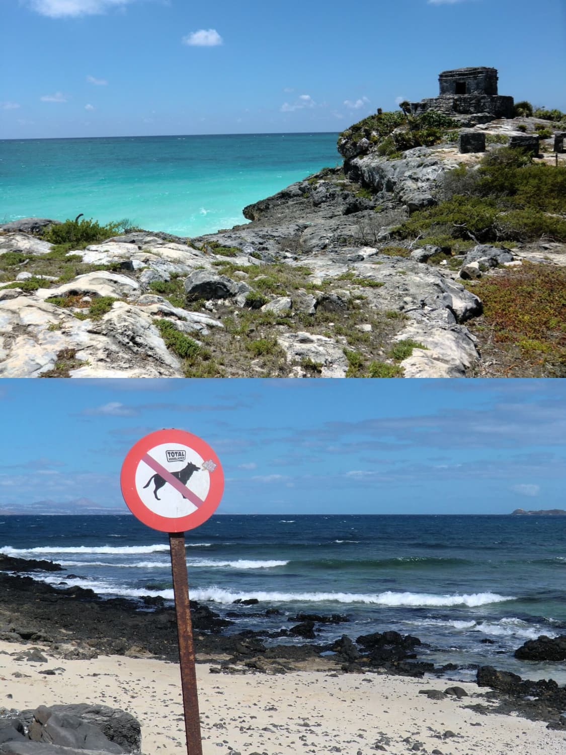 [📸츄디카] 카시오 엑슬림 EXILIM EX-H15 빈티지 디카 판매 상품이미지2