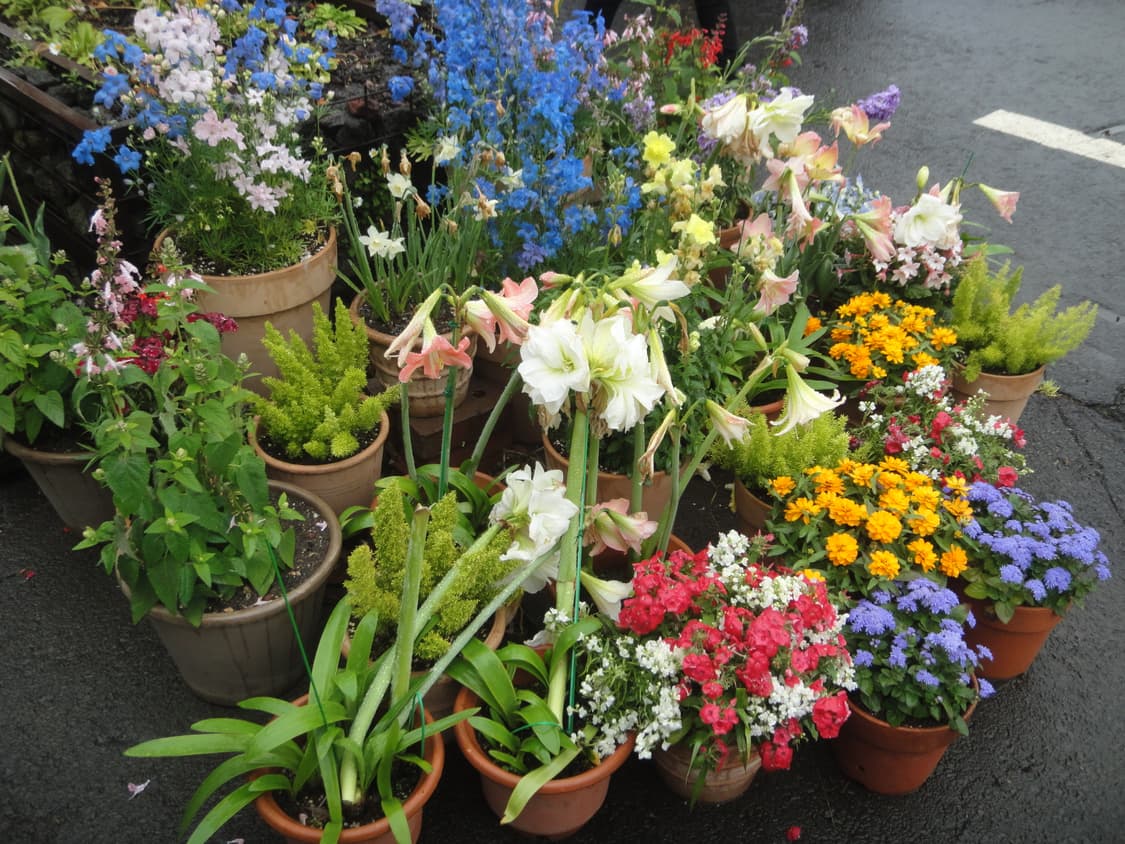 소니 사이버샷 dsc - t99 상품이미지9