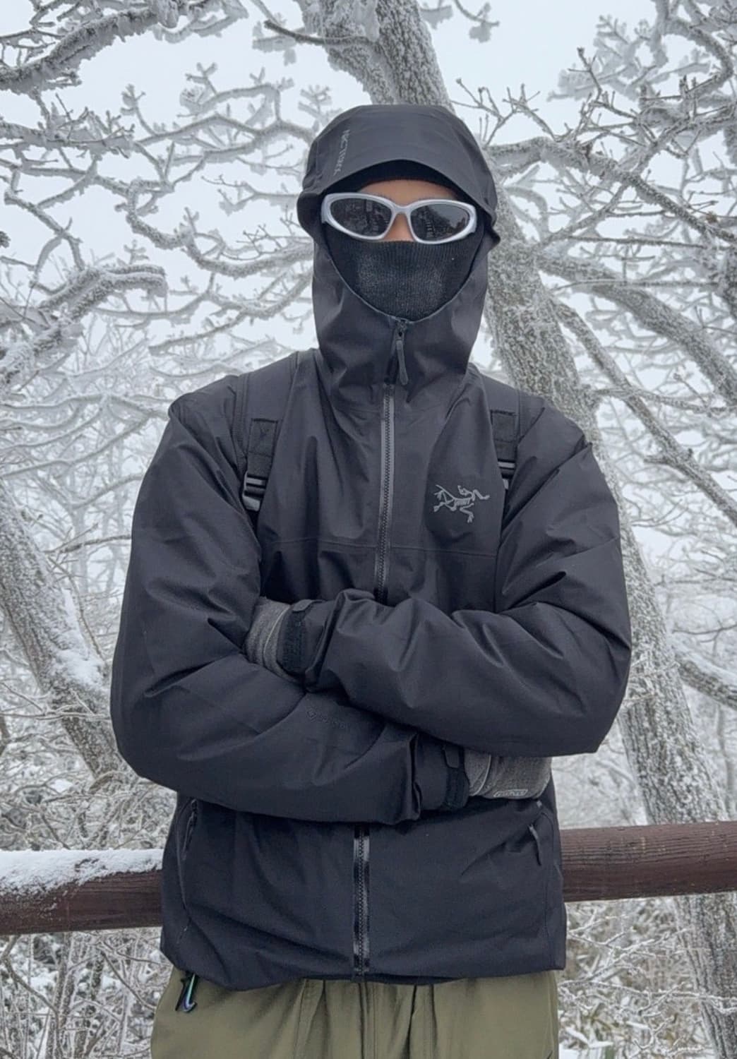 아크테릭스 베타 블랙 L 상품이미지2