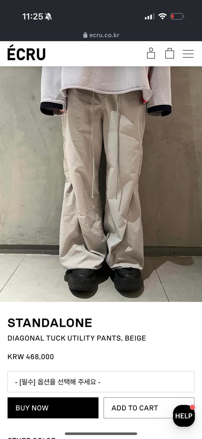스탠드얼론 Tuck utility pants 카고팬츠 상품이미지5