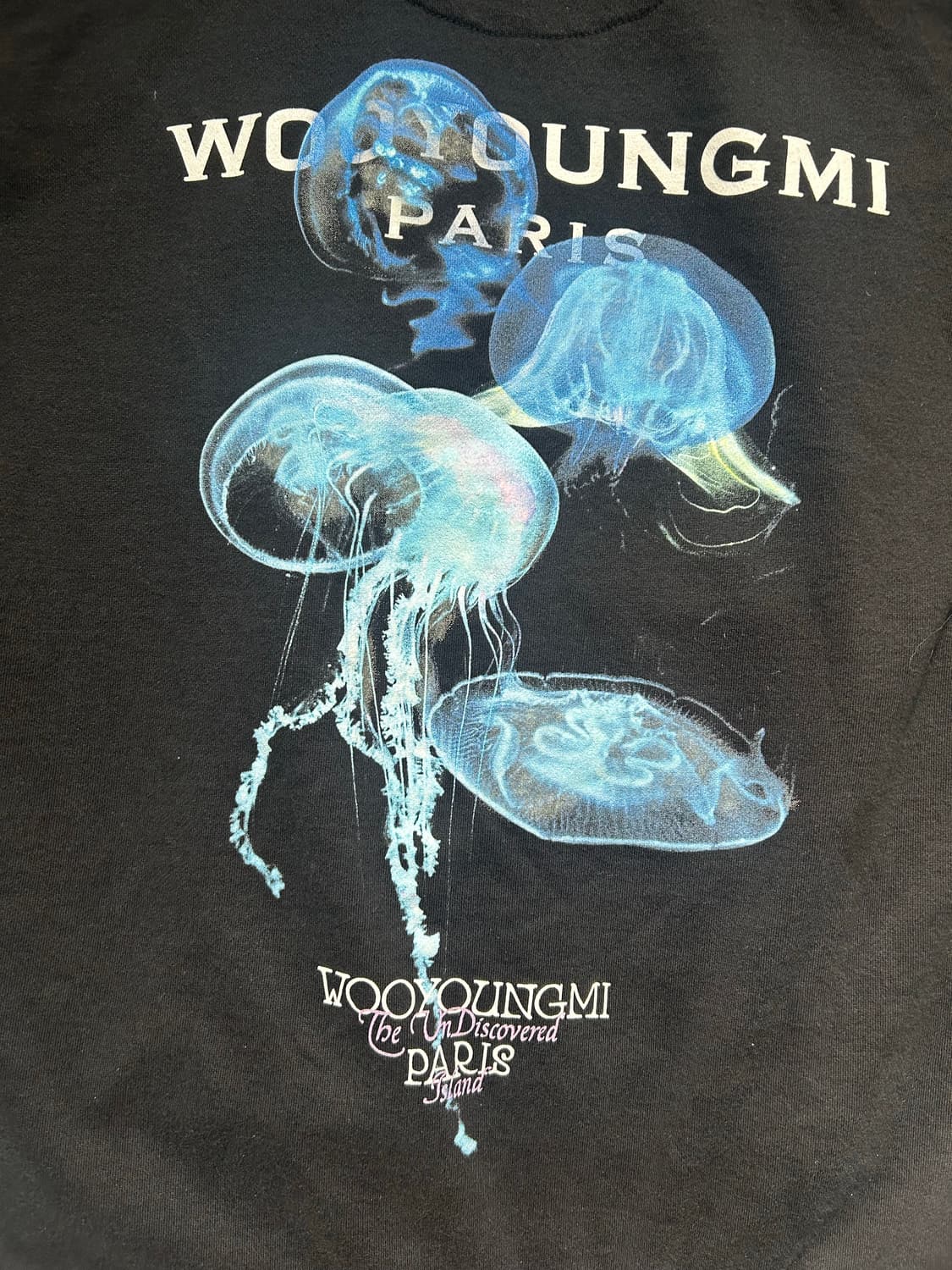 24ss 우영미 젤리피쉬 후드티 50 상품이미지4