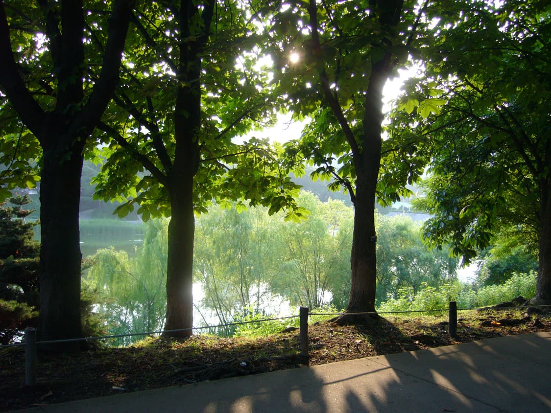 레어템) 파나소닉 루믹스 DMC-FX3 디지털 카메라 상품이미지9