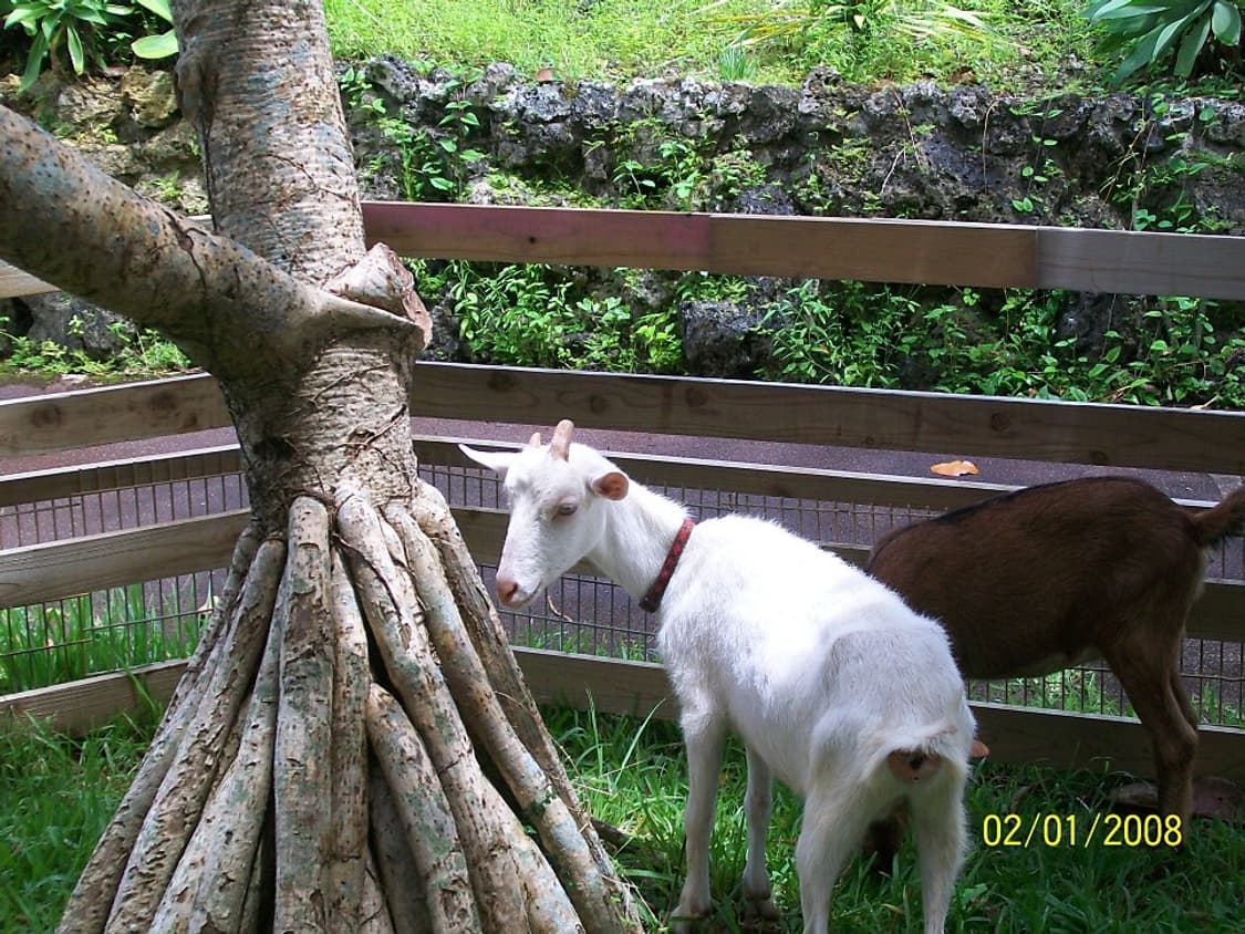  코닥 이지쉐어 CD1013 블랙 Kodak Easyshare CD101 상품이미지8