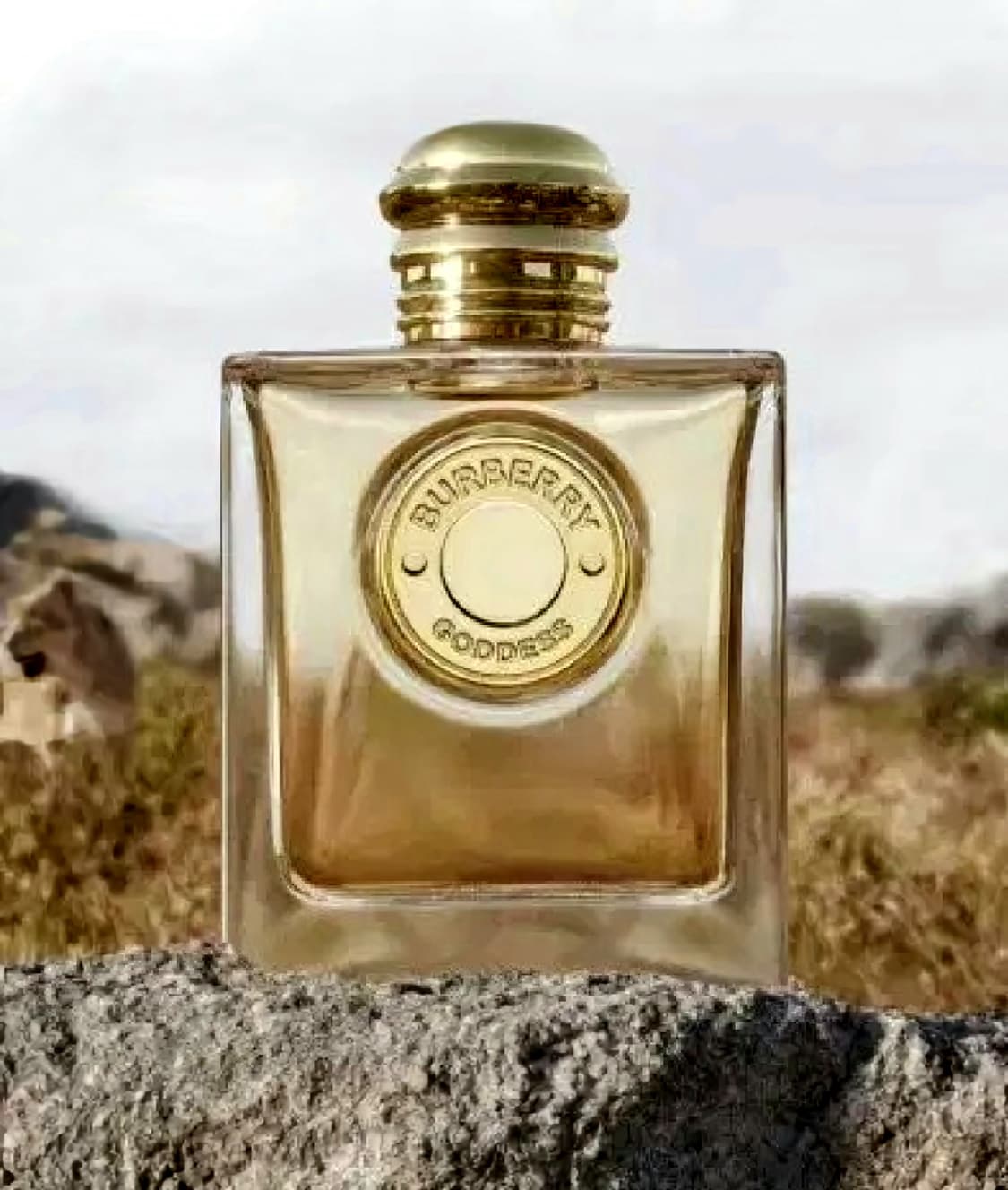 버버리 가디스 오드퍼퓸 100ml 상품이미지1
