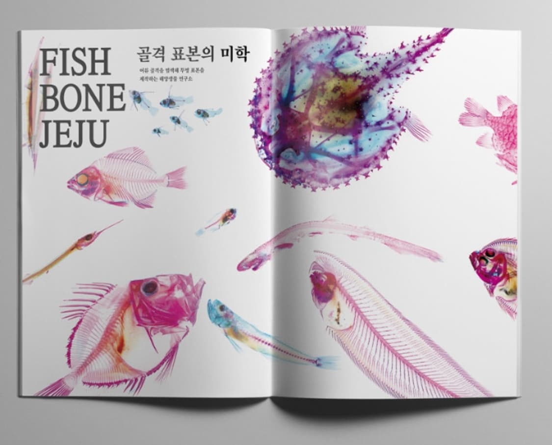 Sansangear 산산기어 매거진 잡지 상품이미지7