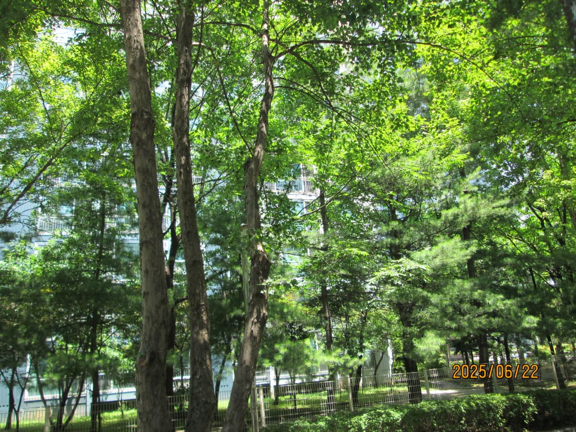 캐논 파워샷 a2400 is 카메라 상품이미지6