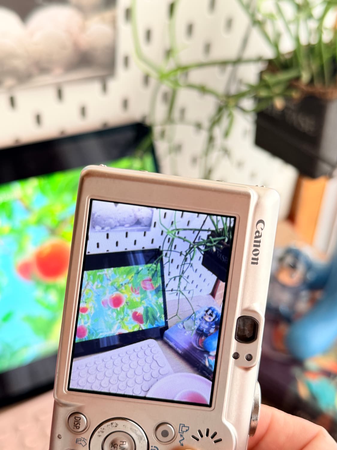 ✨니키 문가영 픽✨ 캐논 IXY70 /ixus60 익시70 빈티지디카 상품이미지9