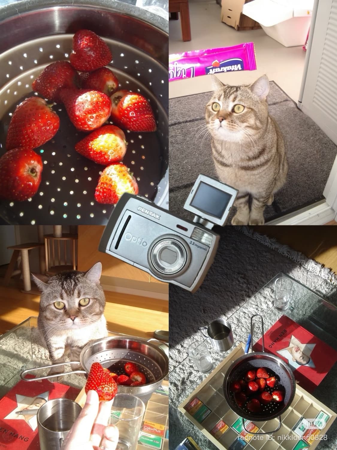 초레어,미품❤️) 펜탁스 옵티오 33L / Pentax Optio 33L 상품이미지5