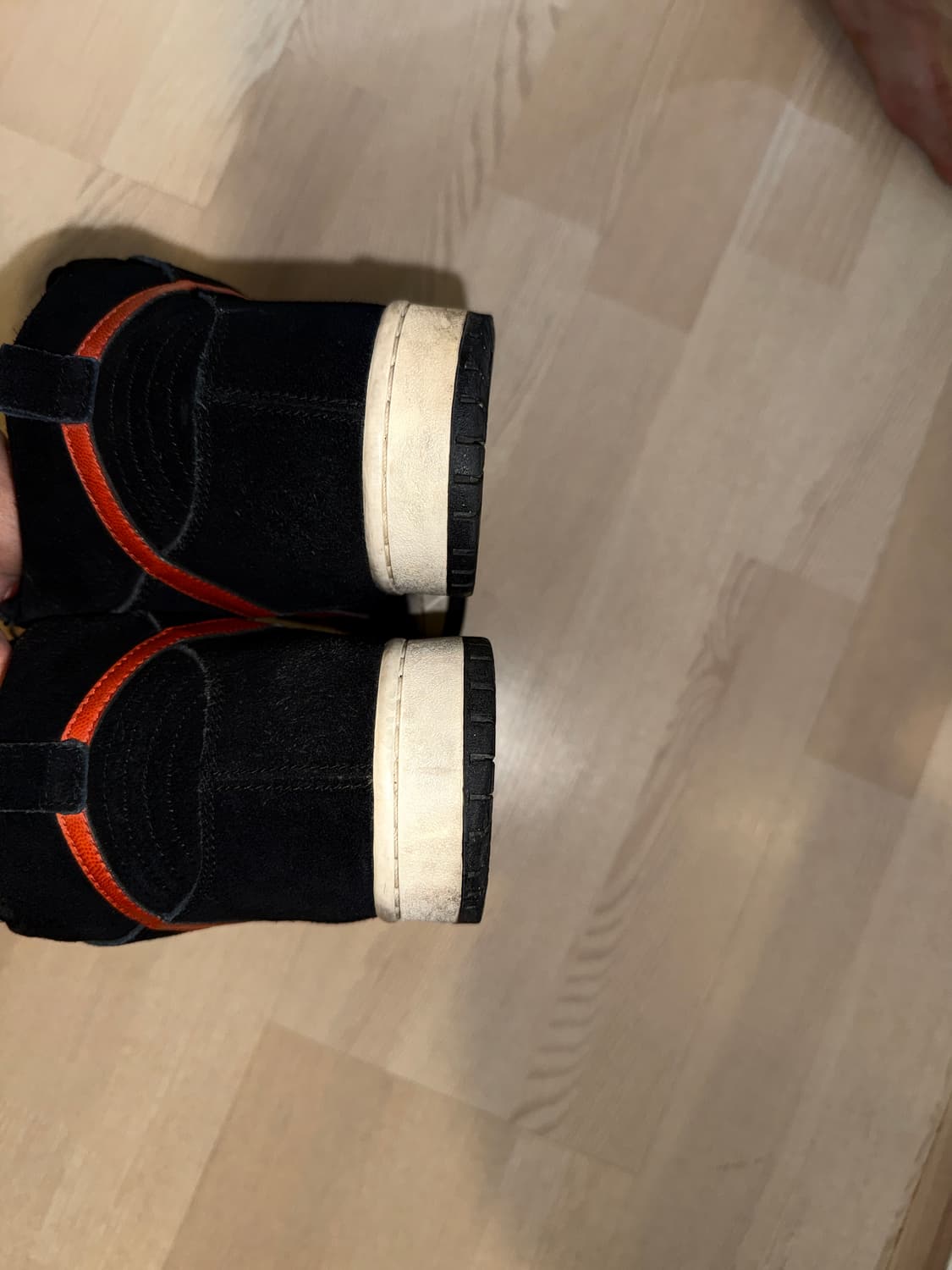 Dunk High Pro SB Jagermeister 270 10s 상품이미지7