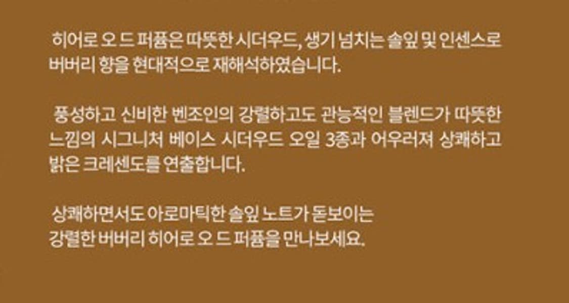 버버리 히어로 오드퍼퓸 100ml 상품이미지5