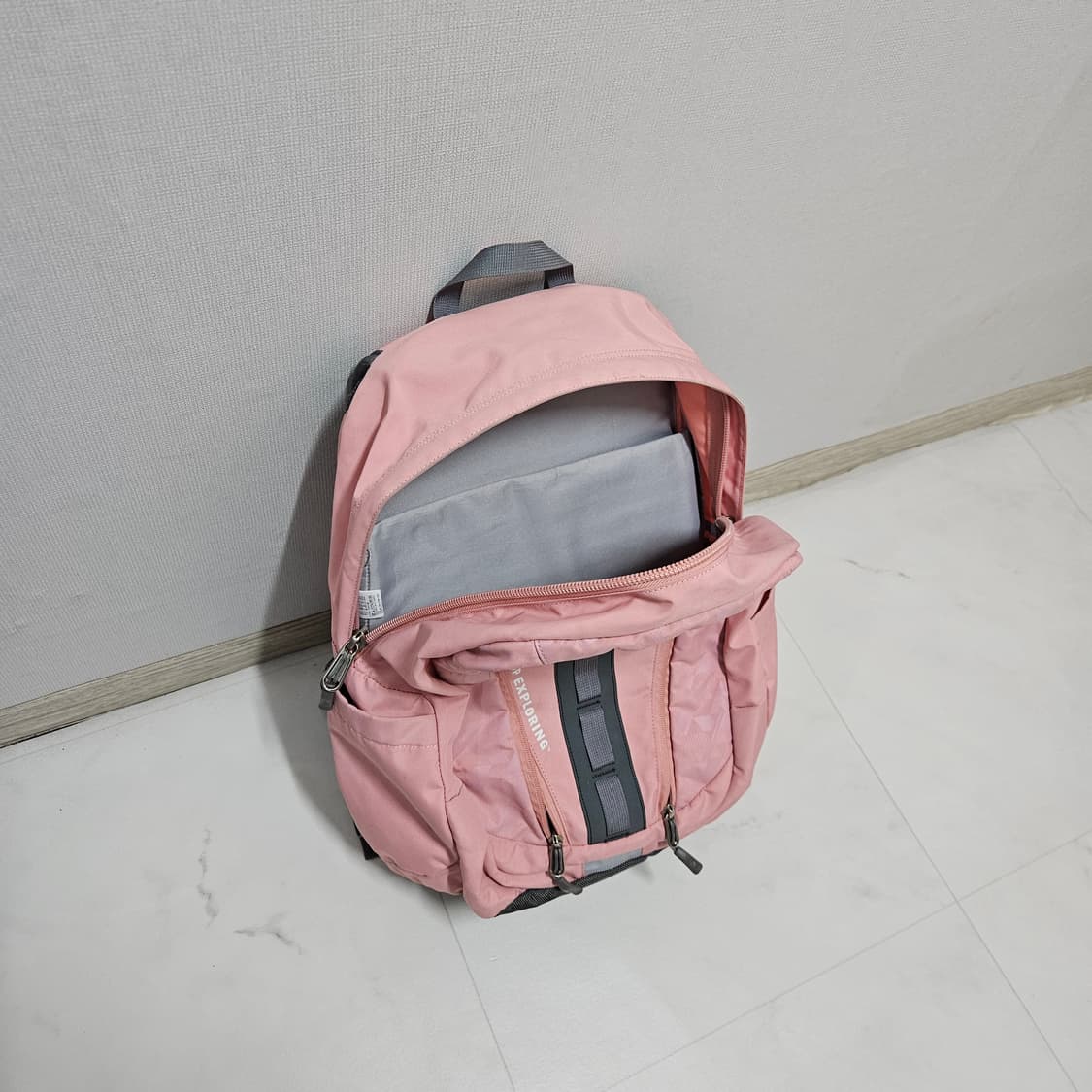 노스페이스 빅샷 핑크 백팩 상품이미지3