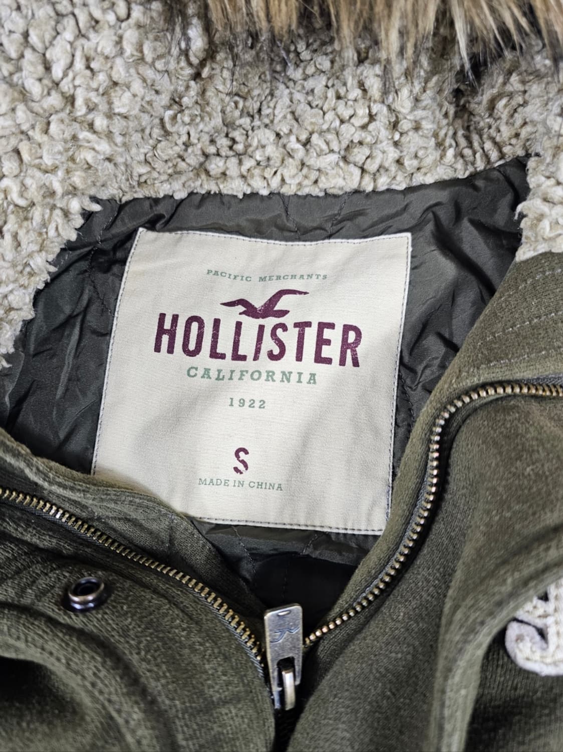 홀리스터울프죠 상품이미지7