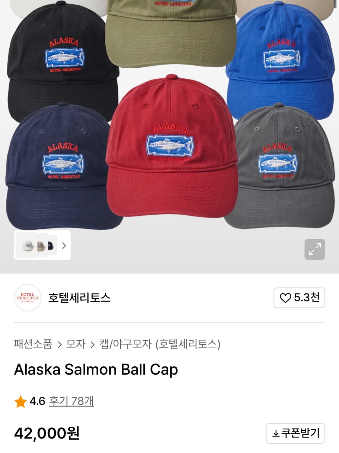 Alaska salmon ball cap 상품이미지2