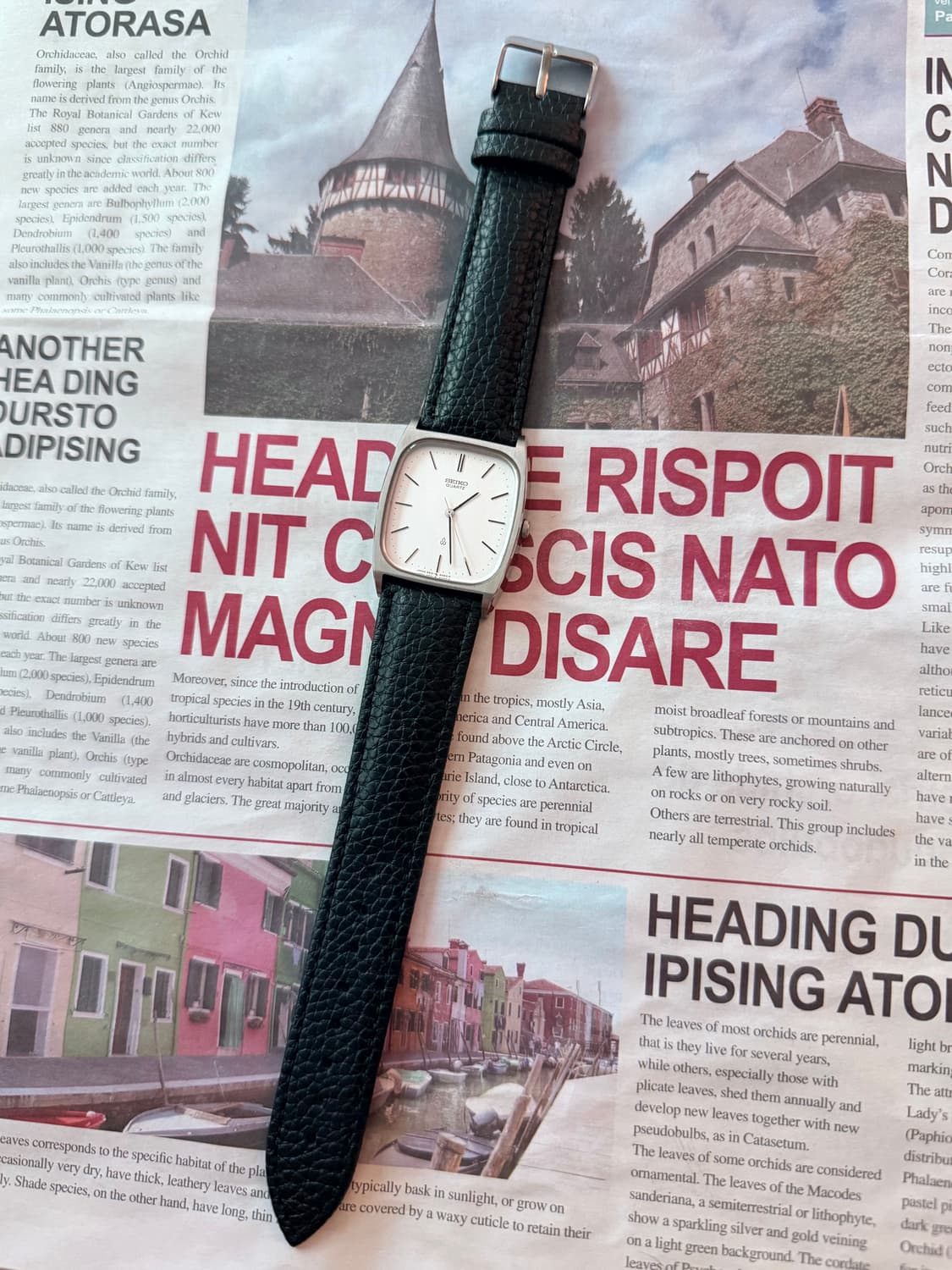 Seiko 세이코 Square Quartz 상품이미지2