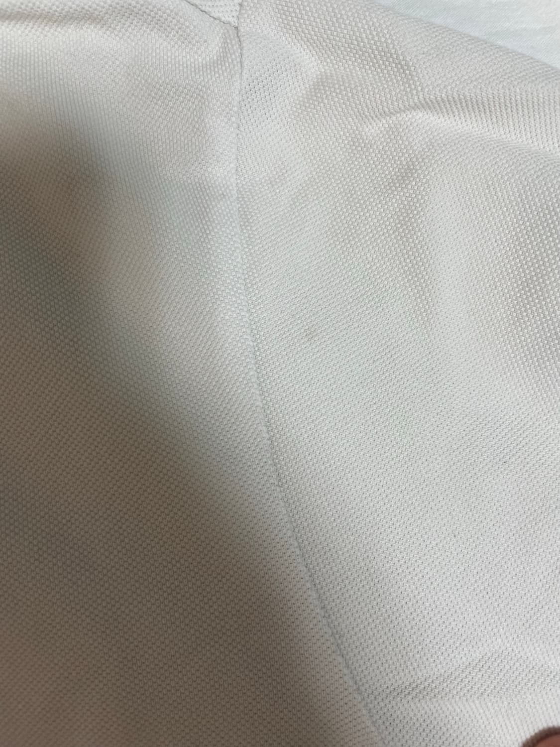 디올옴므/bee 로고 pk셔츠/M 상품이미지4