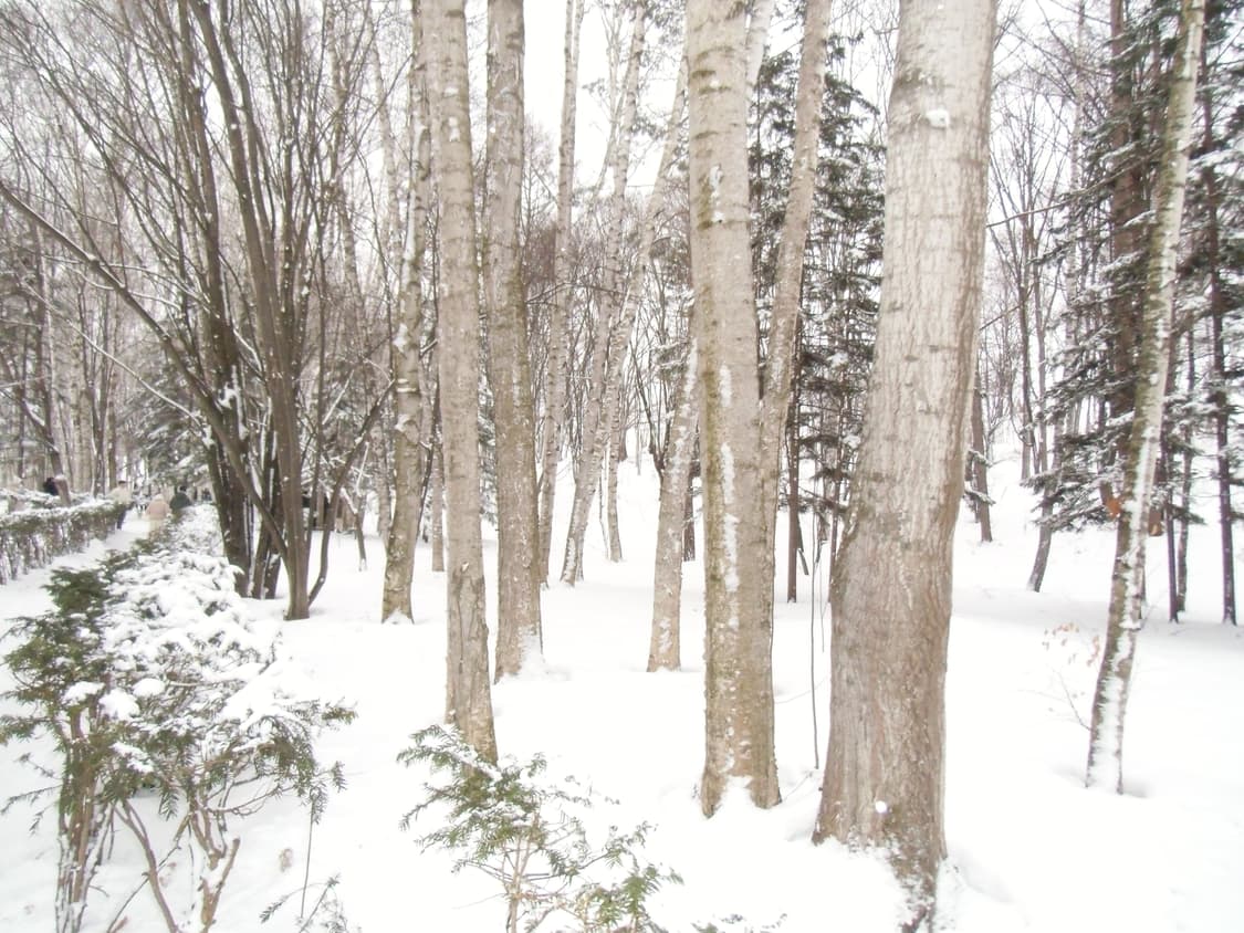 필름느낌 🫧 작례있음 ) 카시오 Ex-zs100 빈티지 디카💖✨ 상품이미지3