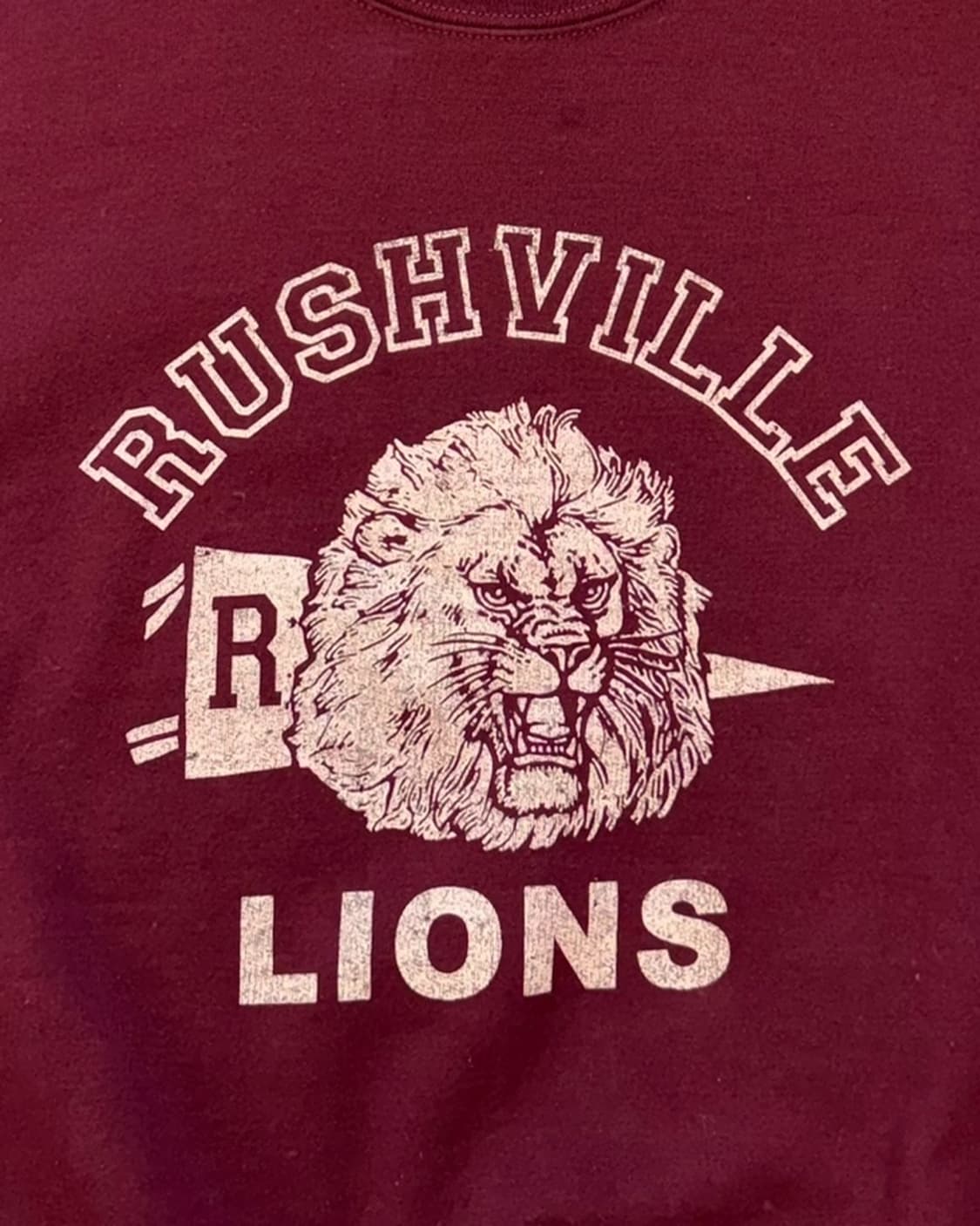 와일드 동키 라이온 그래픽 스웨트셔츠 상품이미지6