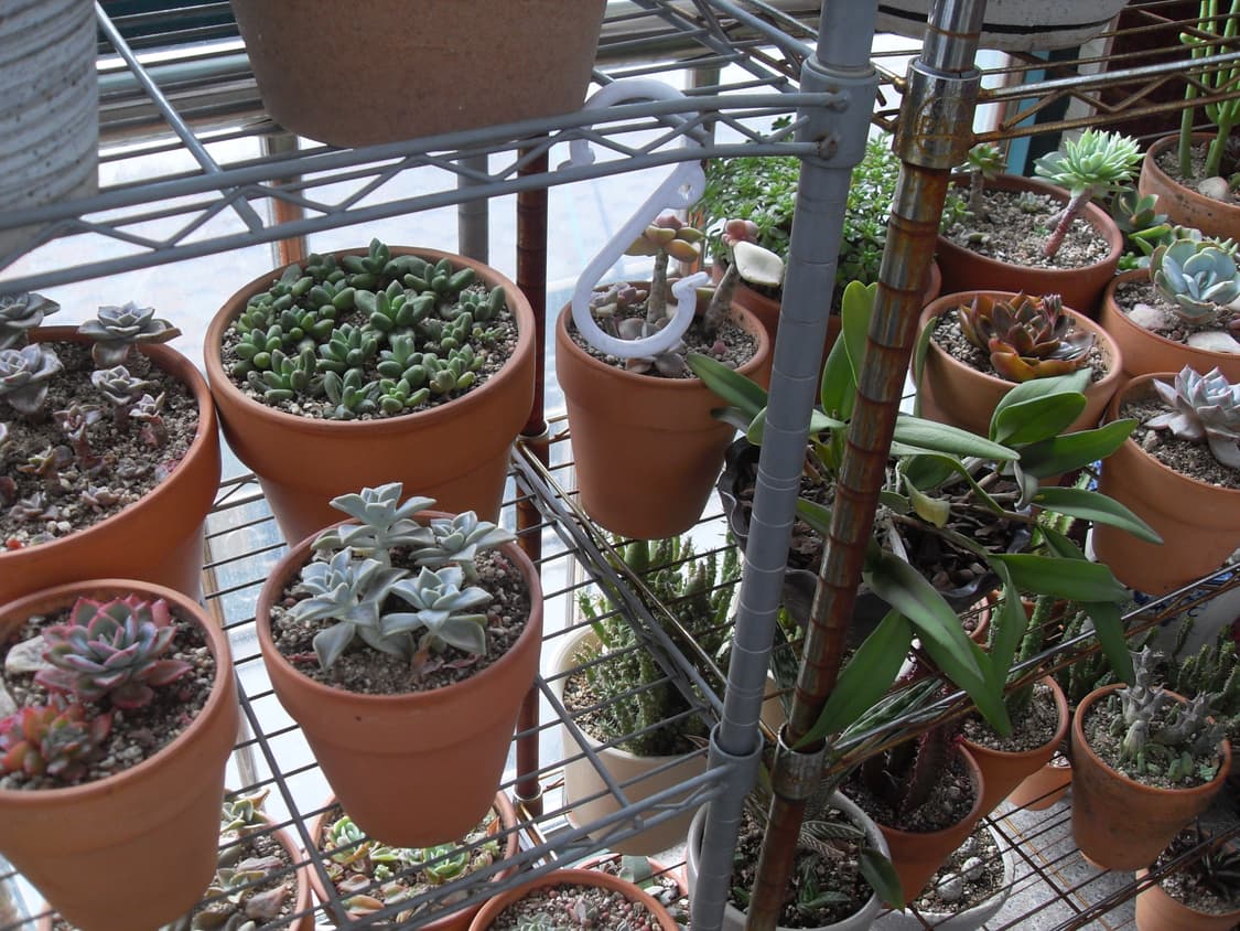 삼성 VLUU L200 상품이미지7