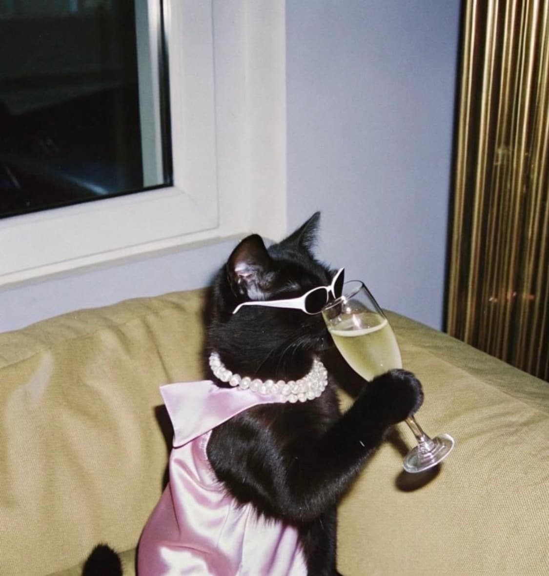 발렌시아가 수영복 s 상품이미지1