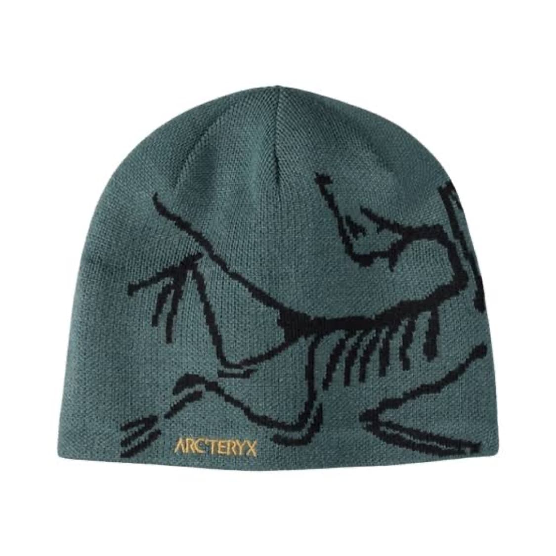 아크테릭스 버드 헤드 토크 비니 (Dark Magic) 상품이미지1