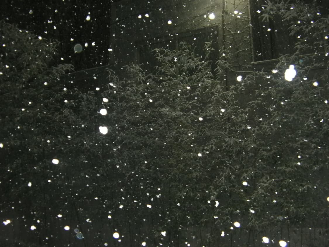 산요작티 CG110 판매합니다~! 상품이미지8