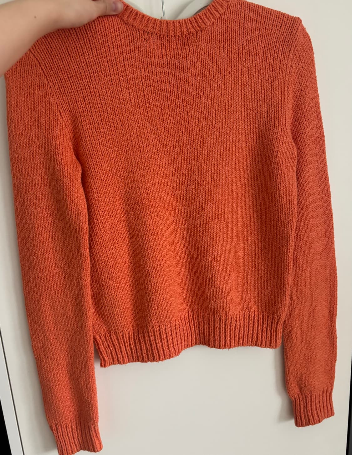 폴로 니트  상품이미지2