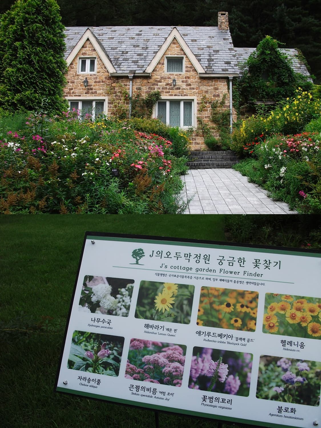 ☃️ 후지필름 파인픽스 J30 ☃️ 빈티지 디카 상품이미지6