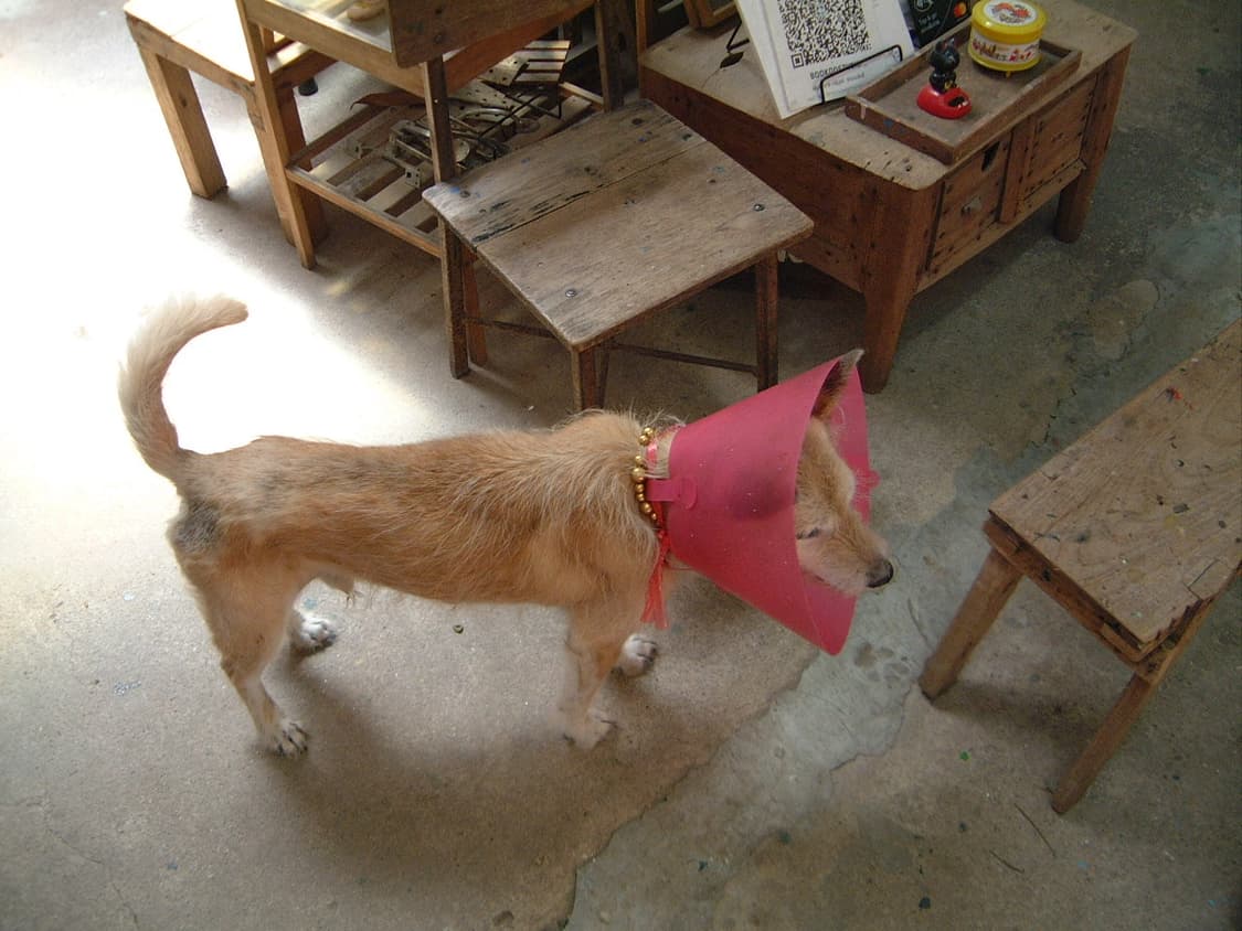 빈티지디카 정석! 파인픽스 4700z 상품이미지4