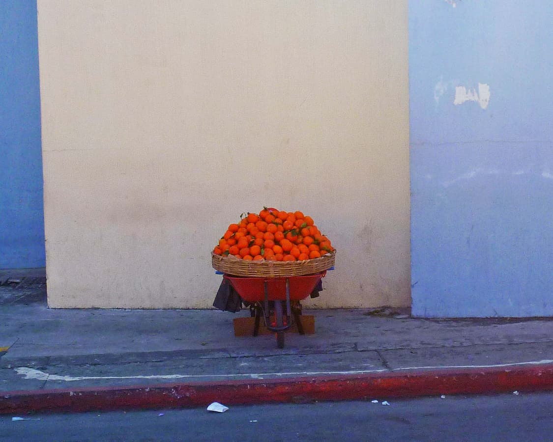 [뽀용&Y2K!] 파나소닉 루믹스 FP3 샴페인골드 디지털카메라 상품이미지10