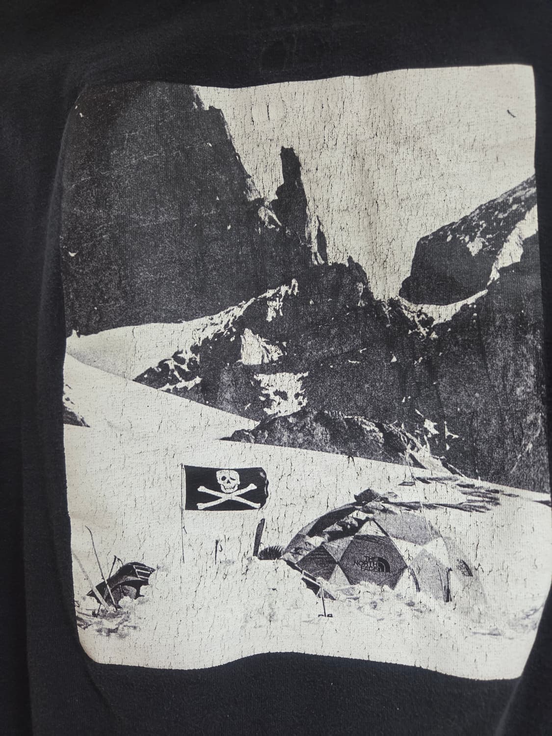 노스페이스 콘래드 플래그 반팔티 상품이미지3