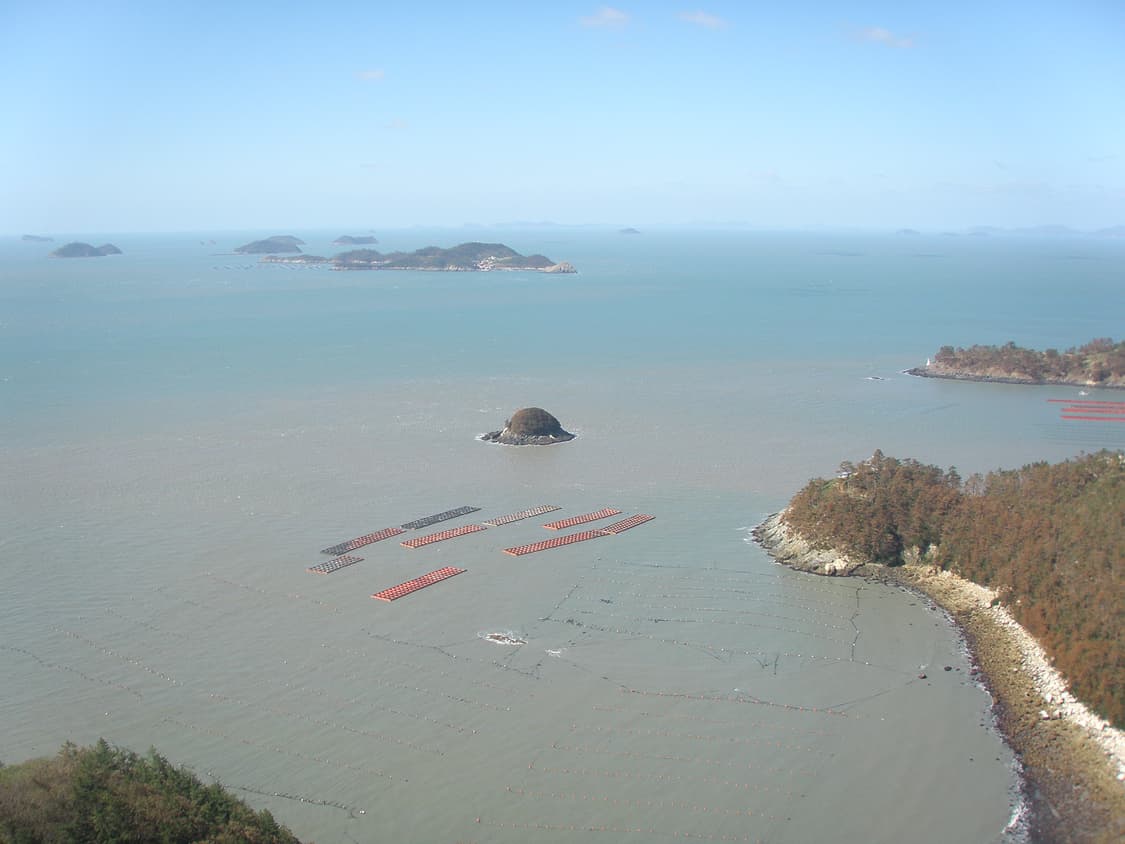 올림푸스 IR-500 디카 (빈티지 카메라) 상품이미지9